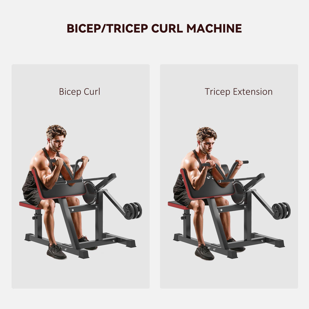 Adjustable Preacher Curl Bench for Arm Workouts
