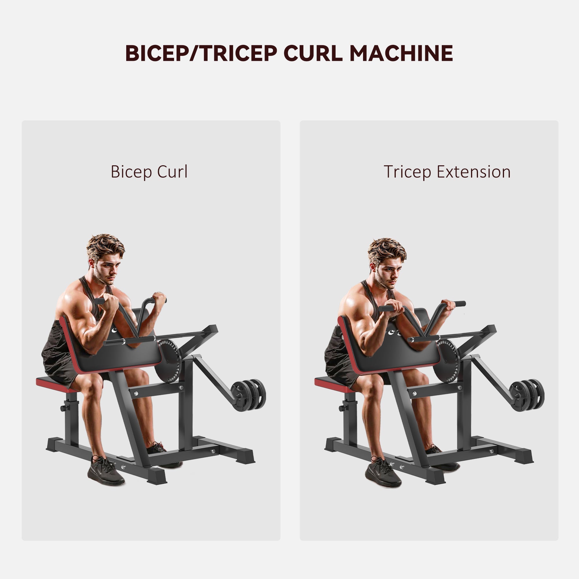 Adjustable Preacher Curl Bench for Arm Workouts