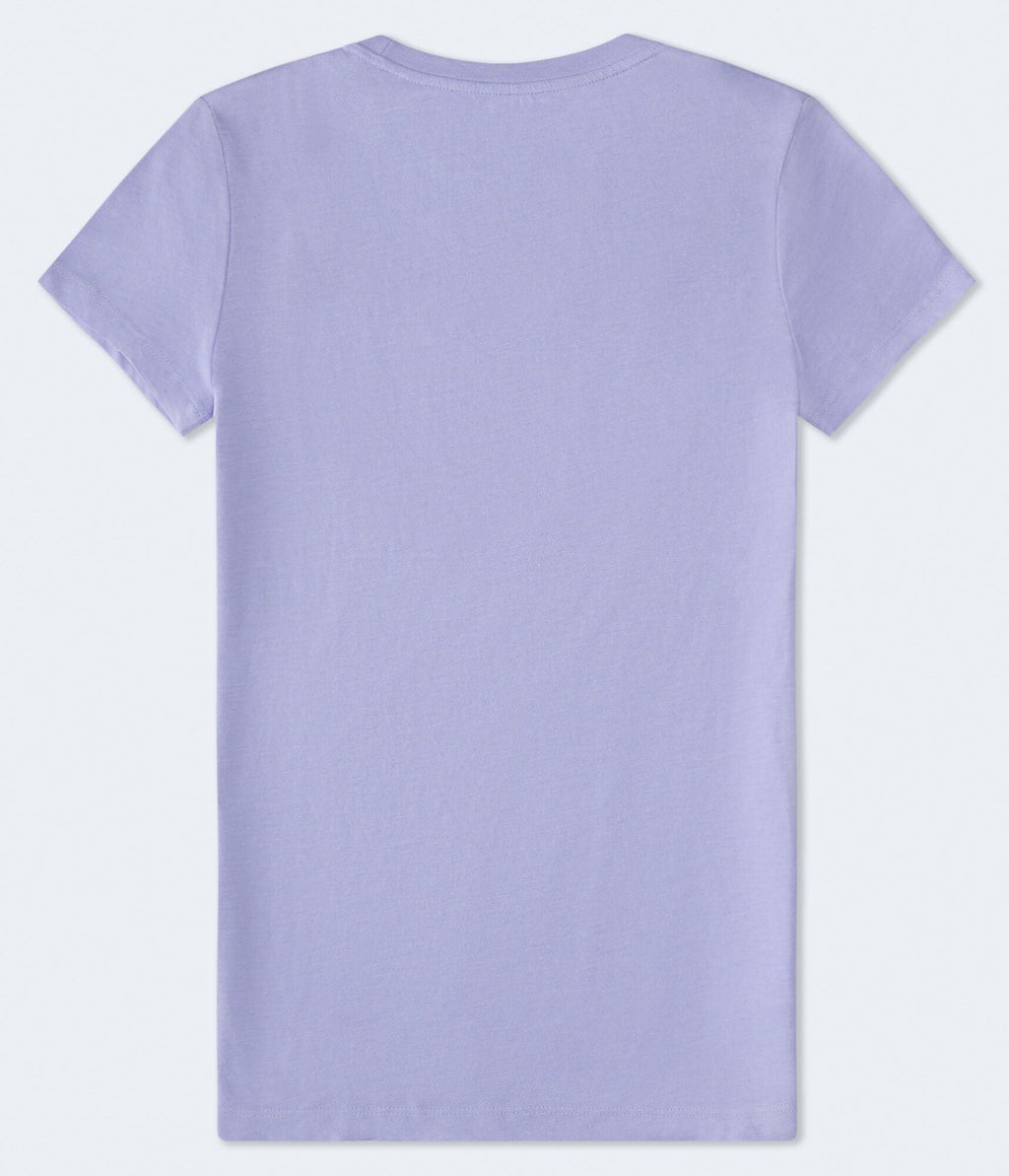 Aeropostale 1987 Flocked Graphic Tee