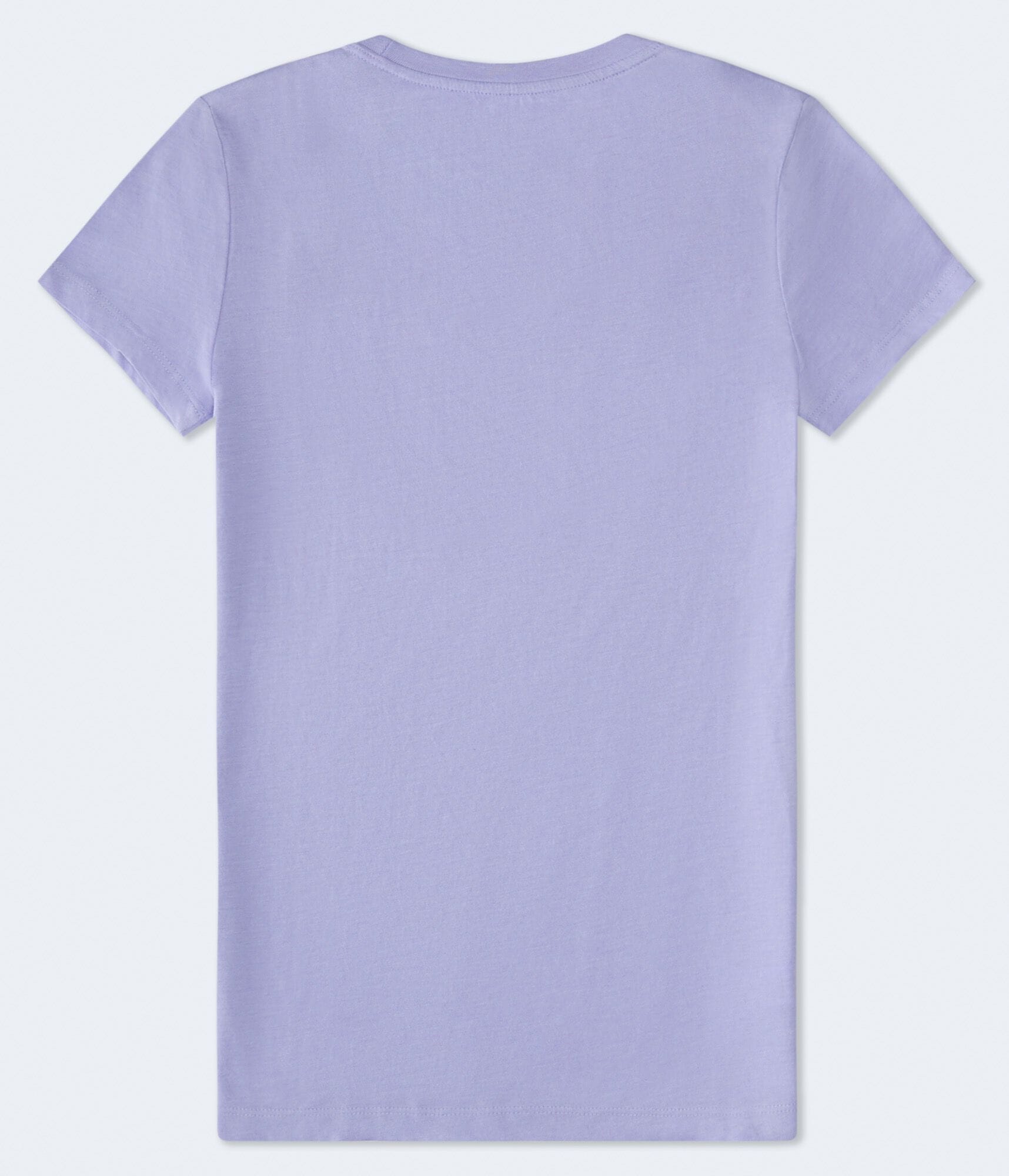 Aeropostale 1987 Flocked Graphic Tee