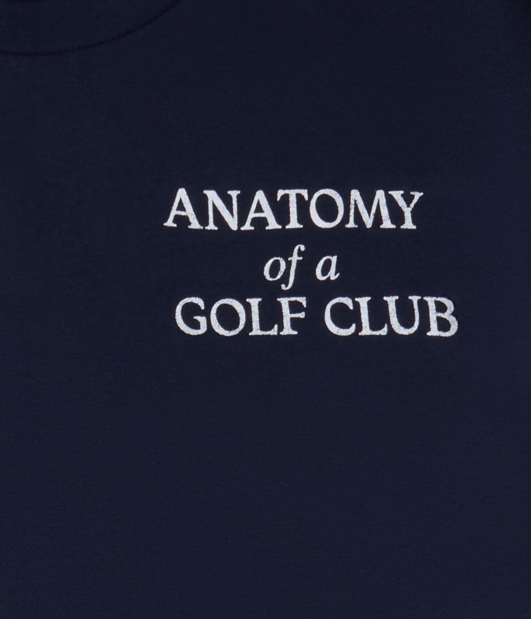 Aeropostale Pga Golf Club Anatomy Relaxed Graphic Tee