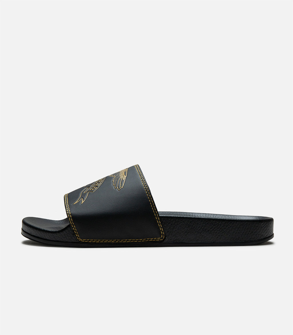 Antihero Basic Eagle Slides