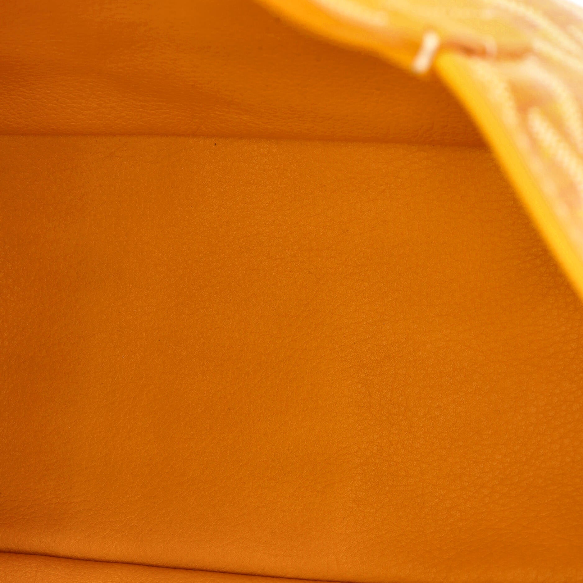 Anjou Reversible Tote Coated Canvas Mini