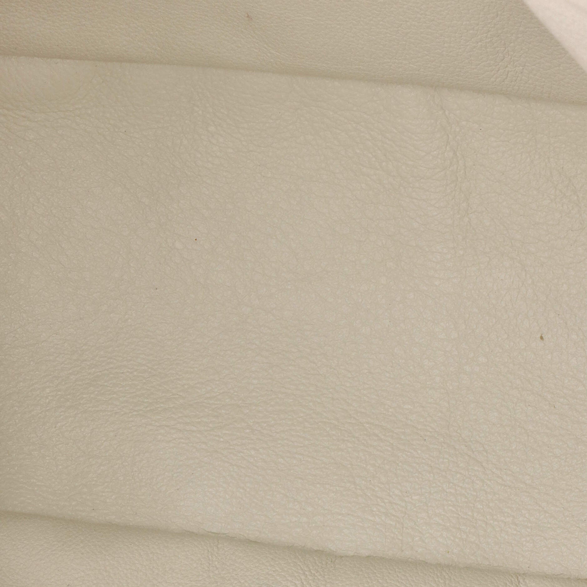 Anjou Reversible Tote Coated Canvas Mini