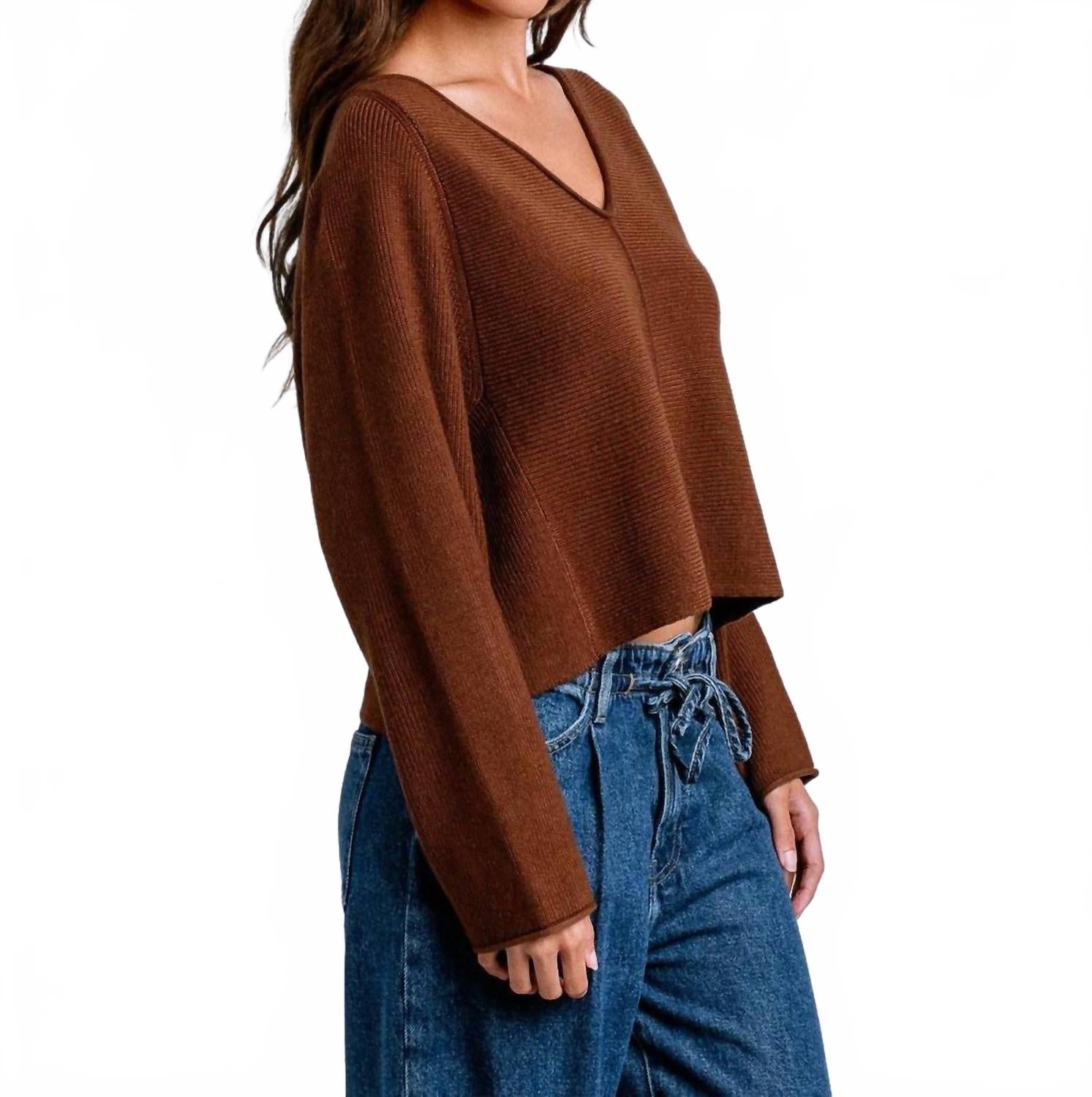 Asima V-Neck Sweater In Brownie