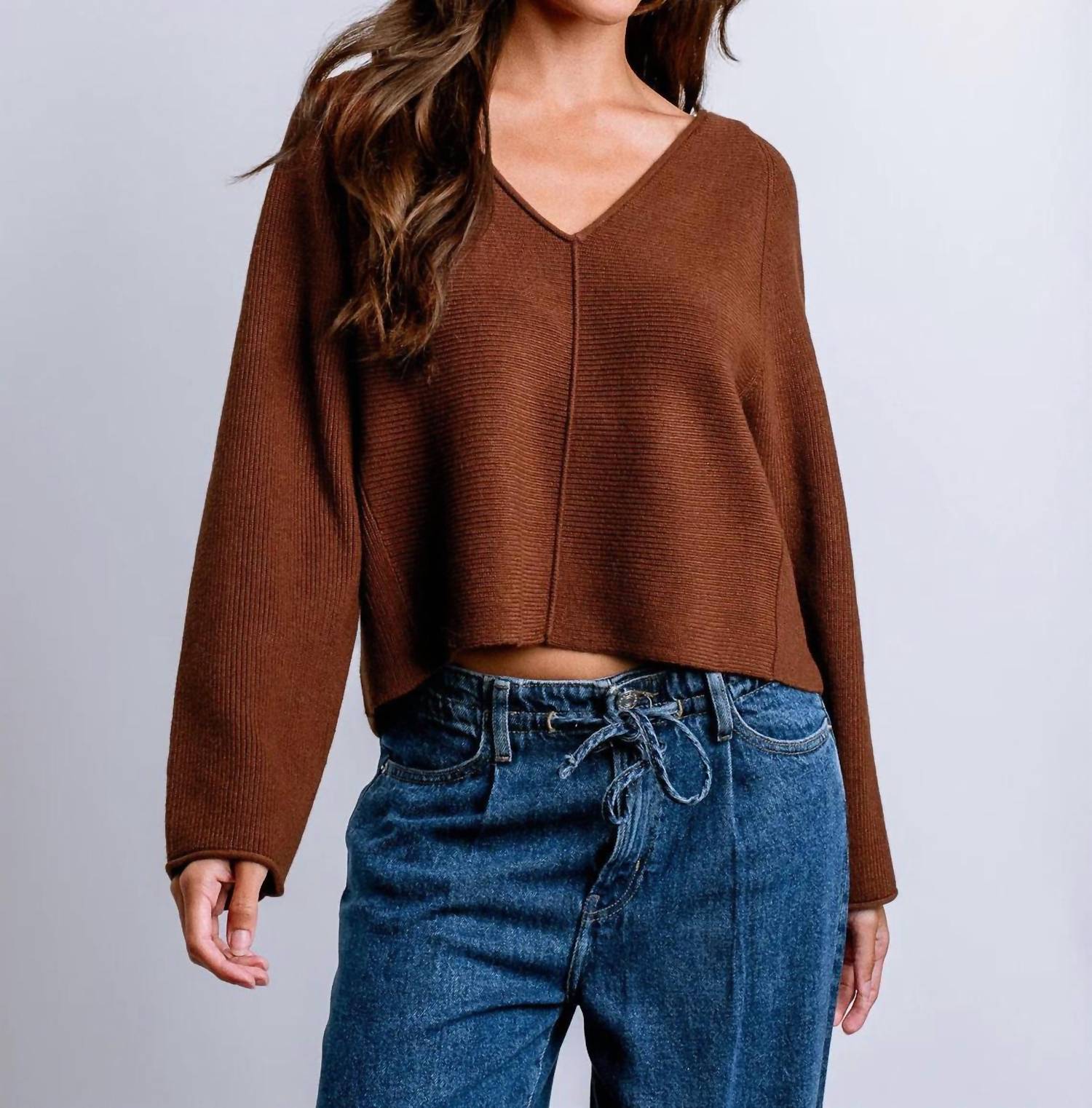 Asima V-Neck Sweater In Brownie